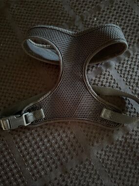 Breathable Mesh Dog Harness